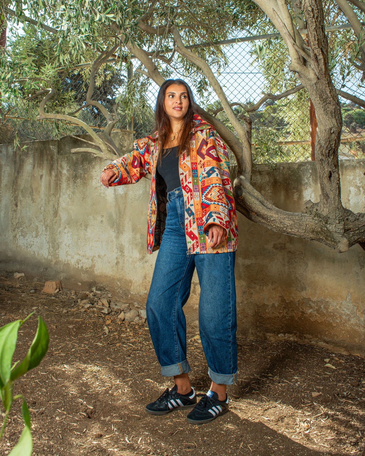 Shams Without a Hood